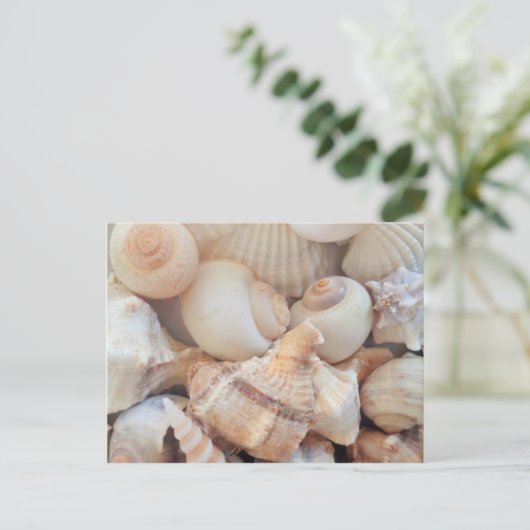 Zonnezomerzeeschelpen, zeehondenpels, strand Love Briefkaart (Staand voorkant)
