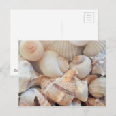 Zonnezomerzeeschelpen, zeehondenpels, strand Love Briefkaart (Voorkant / Achterkant)