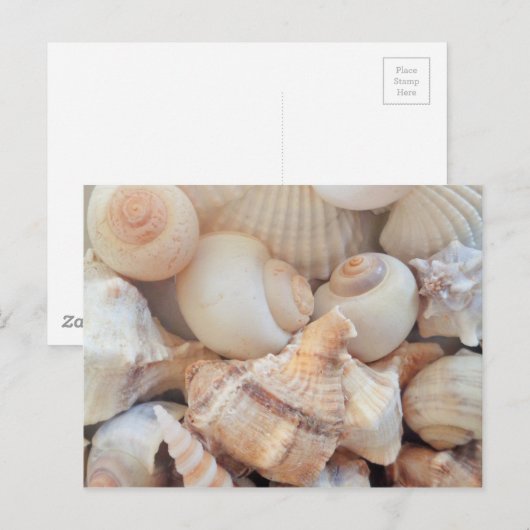 Zonnezomerzeeschelpen, zeehondenpels, strand Love Briefkaart (Voorkant / Achterkant)