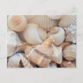Zonnezomerzeeschelpen, zeehondenpels, strand Love Briefkaart (Voorkant)
