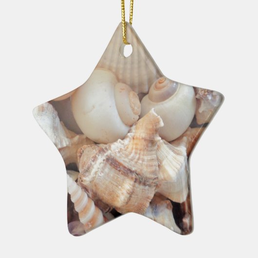 Zonnezomerzeeschelpen, zeehondenpels, strand Love Keramisch Ornament (Links)