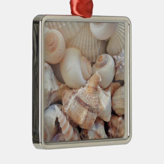 Zonnezomerzeeschelpen, zeehondenpels, strand Love Metalen Ornament (Rechts)