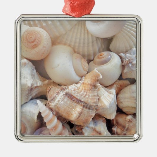 Zonnezomerzeeschelpen, zeehondenpels, strand Love Metalen Ornament (Voorkant)