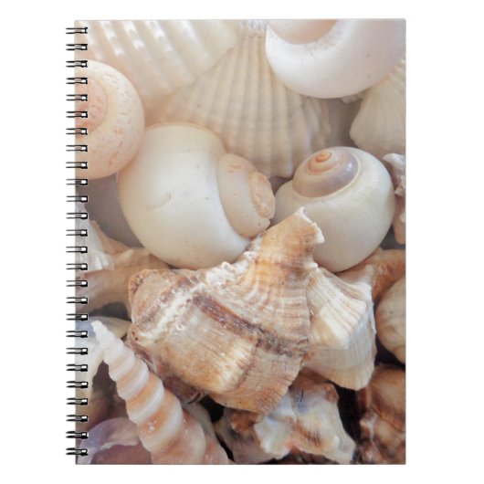 Zonnezomerzeeschelpen, zeehondenpels, strand Love Notitieboek (Voorkant)