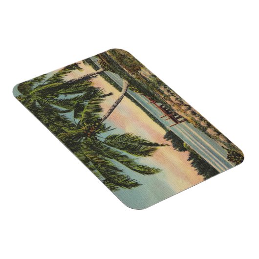  zonnezon van de tropische palm magneet (Rechterzijde)