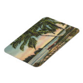  zonnezon van de tropische palm magneet (Linkerzijde)