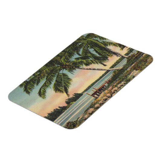  zonnezon van de tropische palm magneet (Linkerzijde)