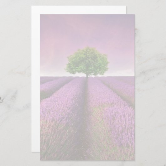 Zonnezondag in het landschapsgebied van Lavender Briefpapier (Voorkant / Achterkant)