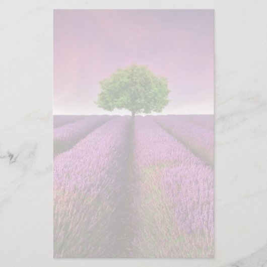 Zonnezondag in het landschapsgebied van Lavender Briefpapier (Voorkant)