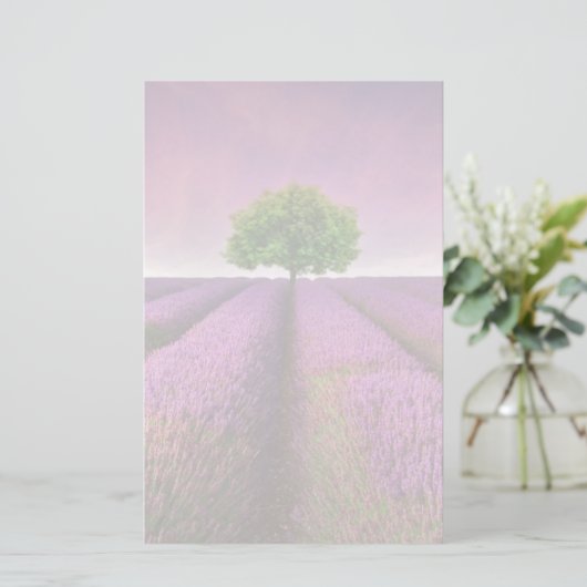 Zonnezondag in het landschapsgebied van Lavender Briefpapier (Staand voorkant)