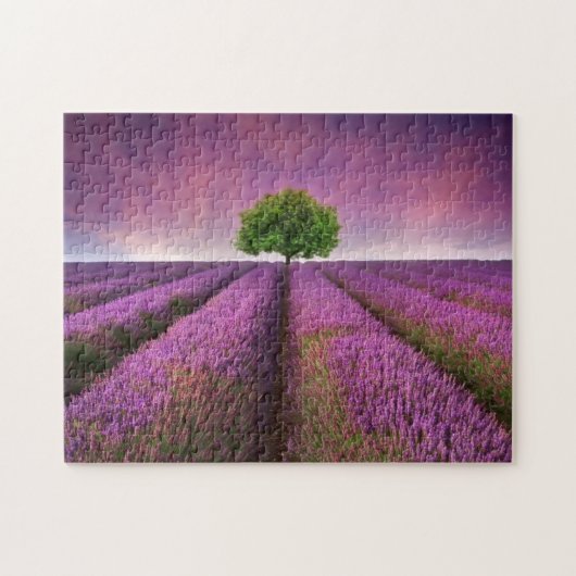 Zonnezondag in het landschapsgebied van Lavender Legpuzzel (Horizontaal)