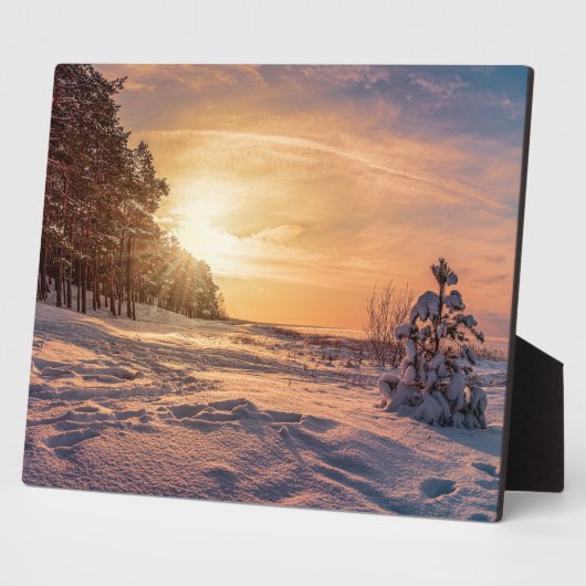 Zonnezone sneeuwkust zee fotoplaat (Zijkant)