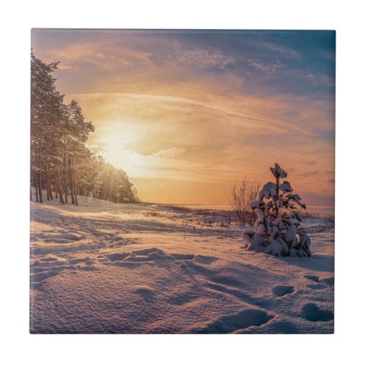 Zonnezone sneeuwkust zee tegeltje (Voorkant)