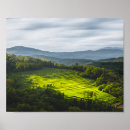 Zonnezonlicht op terrassen poster