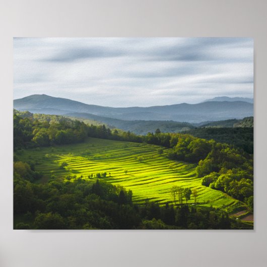 Zonnezonlicht op terrassen poster (Voorkant)