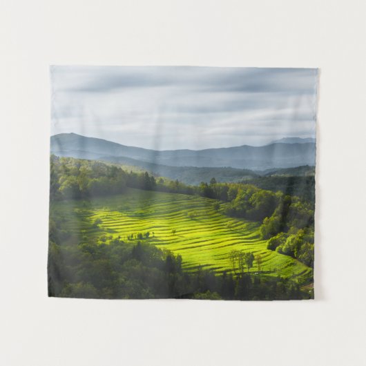 Zonnezonlicht op terrassen wandkleed (Voorkant (horizontaal))