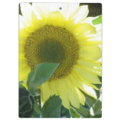 Zonnezonnebloem Klembord (Achterkant)