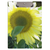 Zonnezonnebloem Klembord (Voorkant)