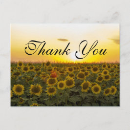 Zonnezonnebloemen Dank je wel Briefkaart