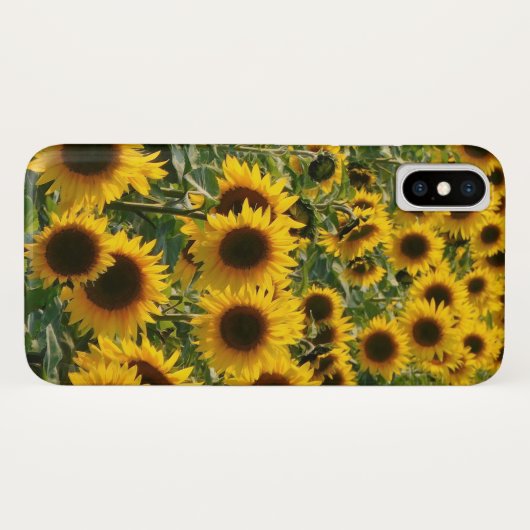 Zonnezonnebloemen iPhone Case (Achterkant (horizontaal))