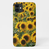Zonnezonnebloemen iPhone Case (Achterkant)