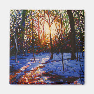 Zonnezonsondergang 2010 magneet