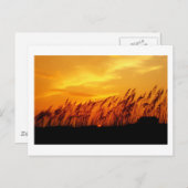 Zonnezonsondergang Briefkaart (Voorkant / Achterkant)