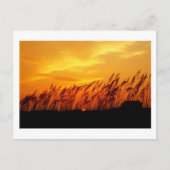 Zonnezonsondergang Briefkaart (Voorkant)