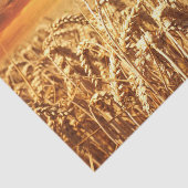 Zonnezonsondergang in tarwegebied tissuepapier (Detail)