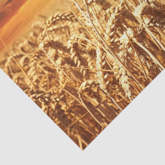 Zonnezonsondergang in tarwegebied tissuepapier (Detail)