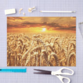 Zonnezonsondergang in tarwegebied tissuepapier (Craft)