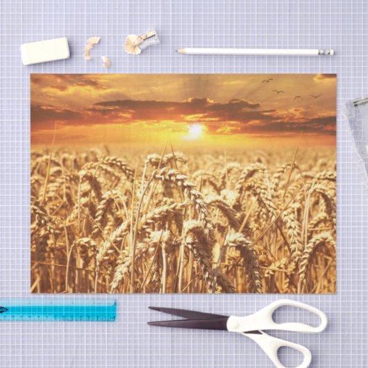 Zonnezonsondergang in tarwegebied tissuepapier (Craft)
