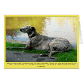 Zonnezuur, kaart, blanco