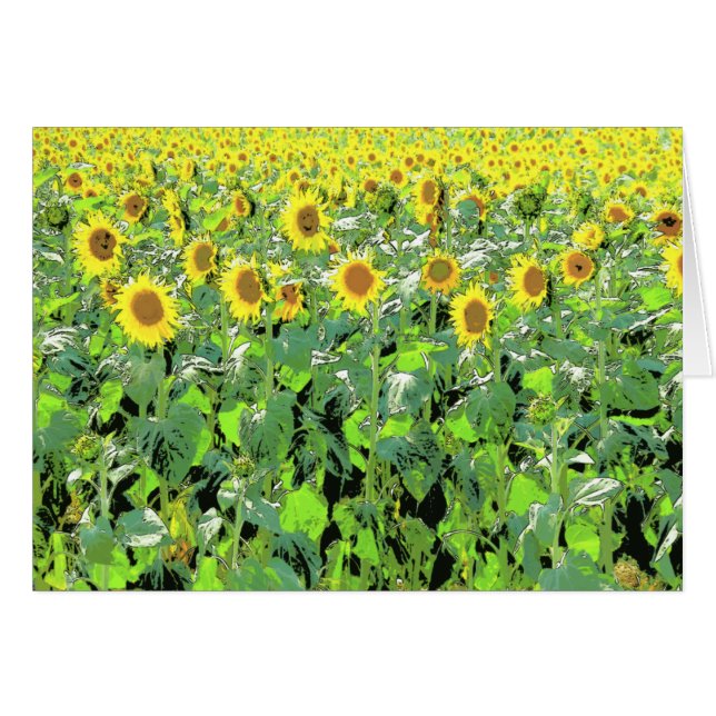 Zonnies (Voorkant Horizontaal)