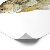 Zonnies Poster (Hoek)