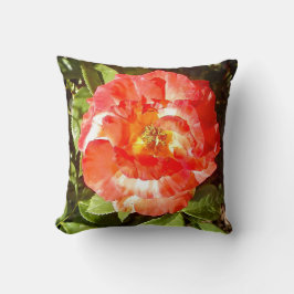 Zonnig dag Roos....... Kussen