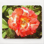 Zonnig dag Roos....... Muismat (Voorkant)