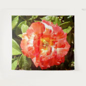 Zonnig dag Roos....... Wandkleed (Voorkant (horizontaal))