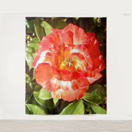 Zonnig dag Roos....... Wandkleed