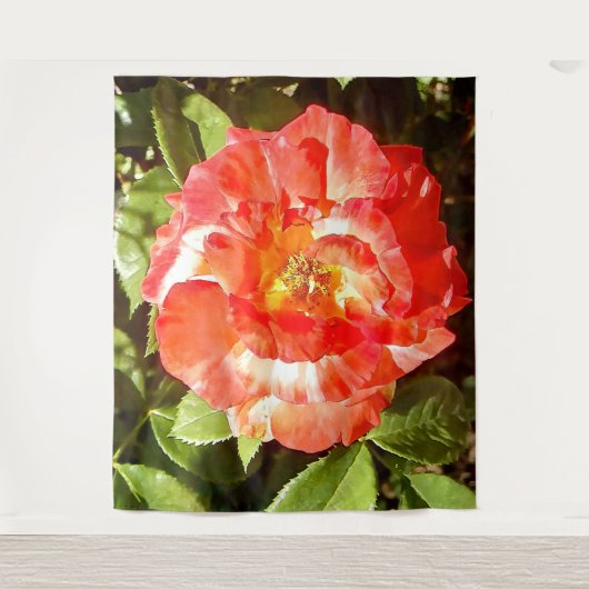 Zonnig dag Roos....... Wandkleed (Voorkant)