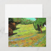 Zonnig gazon in een openbaar park van Vincent van (Voorkant / Achterkant)