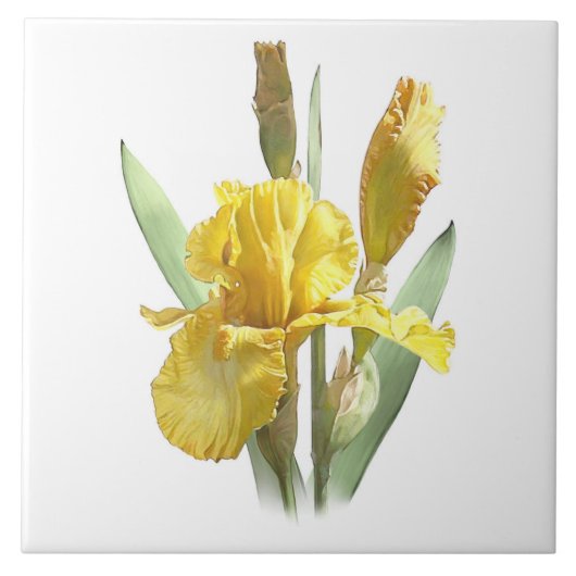 Zonnig Geel Iris Bloem Botanische Kunst Tegeltje (Voorkant)