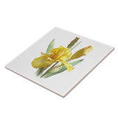 Zonnig Geel Iris Bloem Botanische Kunst Tegeltje (Zijkant)