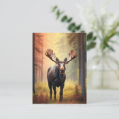 *~* Zonnig Golden AP49 MOOSE Natuur Bos Briefkaart (Staand voorkant)