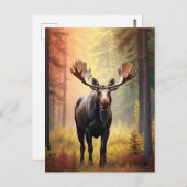 *~* Zonnig Golden AP49 MOOSE Natuur Bos Briefkaart (Voorkant / Achterkant)