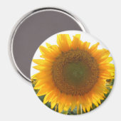 Zonnig hart magneet (Voorkant / Achterkant)