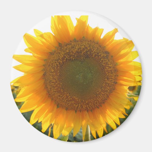 Zonnig hart magneet (Voorkant)