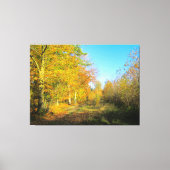 Zonnig herfstbos - canvas afdruk (Voorkant)