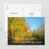 Zonnig herfstbos - Gepersonaliseerd Briefkaart (Voorkant / Achterkant)