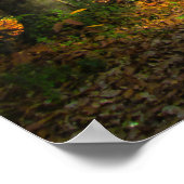 Zonnig herfstbos - Gepersonaliseerd Poster (Hoek)